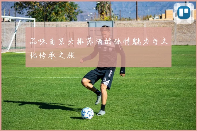 品味南京头排苏酒的独特魅力与文化传承之旅